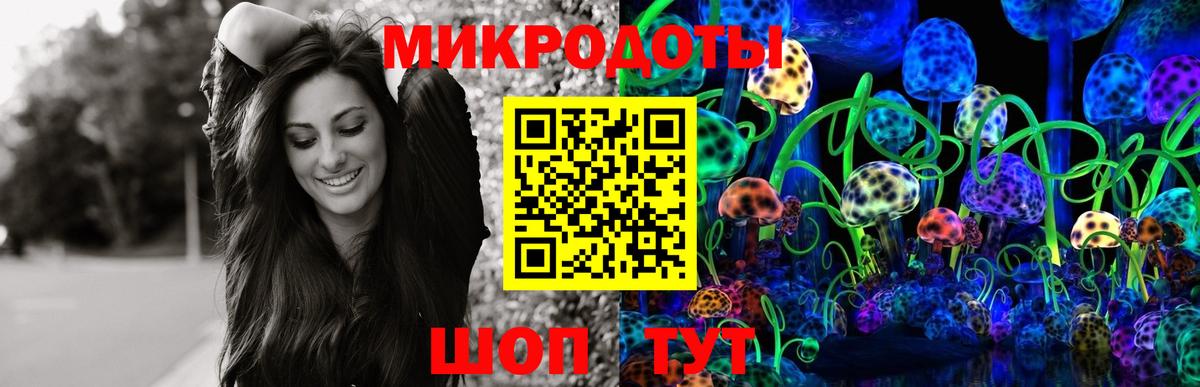 Псилоцибиновые грибы Psilocybe Владимир