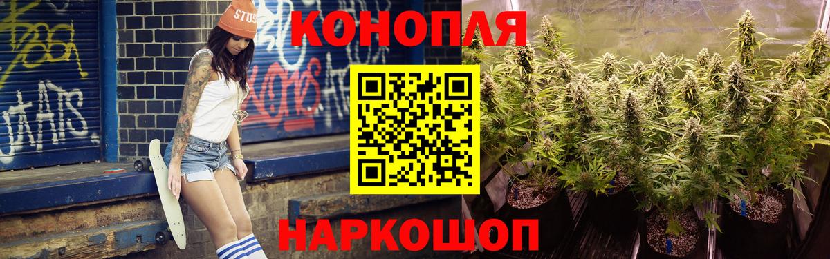 Конопля конопля Владимир